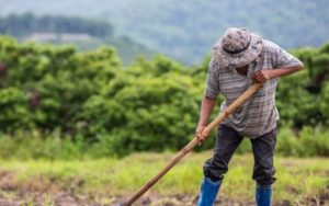 DPRD Jabar: Program Petani Muda yang Diusung Pemprov Jabar Belum Berjalan Maksimal