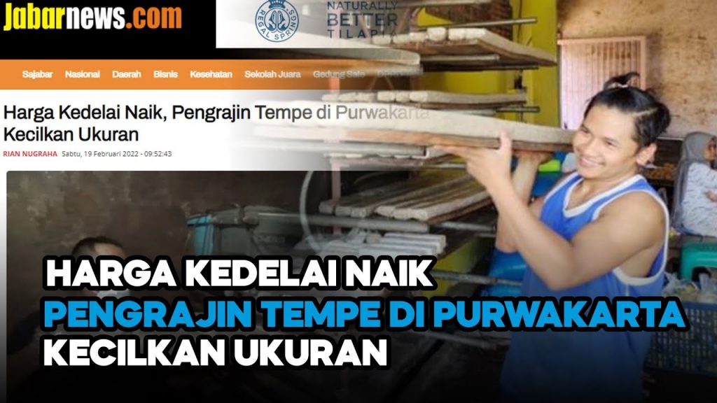 Video: Harga Kedelai Naik, Pengusaha Tempe di Purwakarta Terpaksa Kurangi Ukuran