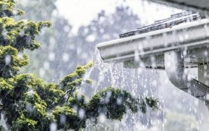 BMKG: Prakiraan Cuaca Hari Ini, Hujan Ringan Akan Mengguyur Wilayah Purwakarta