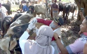 Antisipasi Penyebaran Penyakit Ternak, Disnak Purwakarta Pantau Pasar Hewan Ciwareng