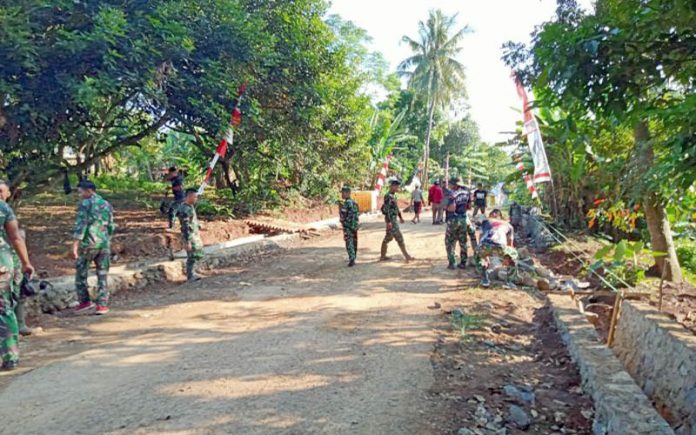 tmmd-113