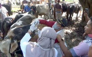 Zero Penyakit Ternak, Pemkab Purwakarta Membuka Kembali Pasar Hewan Ciwareng