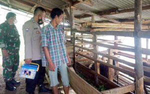 Antisipasi Penyebaran Penyakit Ternak, Polsek Bojong Gencar Berikan Edukasi dan Vitamin