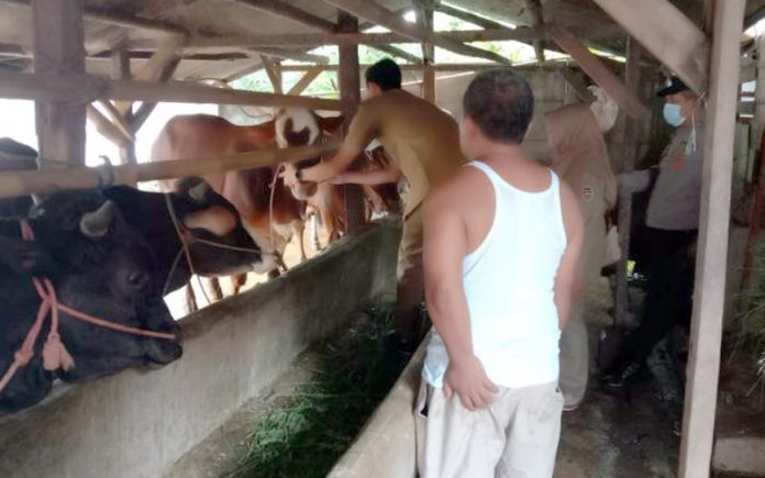 kurban-purwakarta2