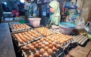 Harga Telur Ayam di Purwakarta Capai Rp30 Ribu Per Kilogram, Ini Dia Penyebabnya