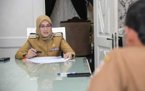 Anne Ratna Mustika Sebut Investasi di Purwakarta Lampaui Target, Capai 8,78 Triliun