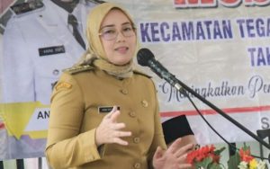 Gugatan Cerainya Dikabulkan Pengadilan, Ini yang Diharapkan Anne Ratna Mustika