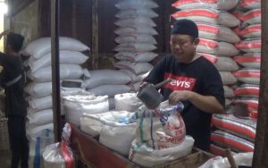 Diduga Lantaran Pasokan Sedikit, Harga Beras di Purwakarta Mengalami Kenaikan