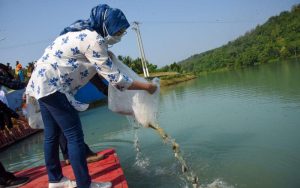 Anne Ratna Mustika Dorong Peningkatan Produksi Ikan Air Tawar di Purwakarta