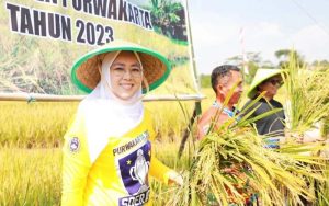 Cegah Stunting, Purwakarta Siapkan Ribuan Hektar Sawah Untuk Produksi Beras Nutri Zinc