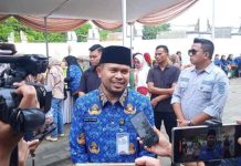 Wakil Bupati Purwakarta, Abang Ijo Hapidin