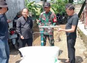 Jaga Ketahanan Pangan, TNI dan Camat Purwakarta Dampingi Langsung Panen Gabah