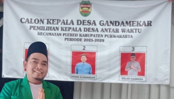 Raih Suara Terbanyak, Heru Kurniawan Terpilih Jadi Kepala Desa Gandamekar