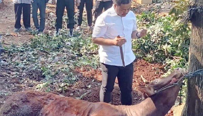 Idul Adha 1446 H, Polres Purwakarta Salurkan 34 Hewan Kurban