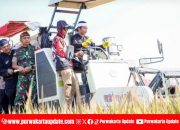 Purwakarta Dorong Pertanian Modern, Petani Kini Didukung Mesin Panen Combine Harvester