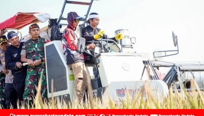 Purwakarta Dorong Pertanian Modern, Petani Kini Didukung Mesin Panen Combine Harvester