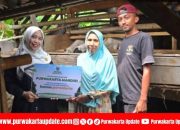 BAZNAS Purwakarta Dorong Kemandirian Warga Lewat Bantuan Ternak