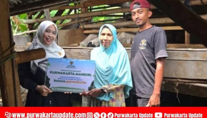 BAZNAS Purwakarta Dorong Kemandirian Warga Lewat Bantuan Ternak