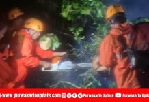 Akses Jalan Provinsi Purwakarta – Cianjur Tertutup Longsor, BPBD Lakukan Penanganan Cepat