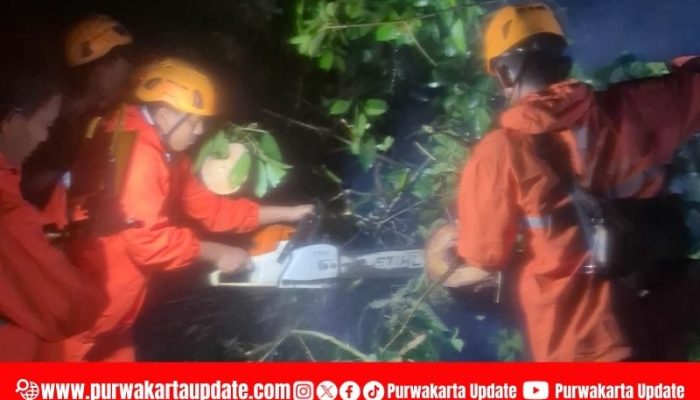 Akses Jalan Provinsi Purwakarta – Cianjur Tertutup Longsor, BPBD Lakukan Penanganan Cepat