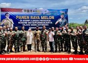 Purwakarta Gelar Panen Raya Melon 2025, Sinergi Pemda–TNI Perkuat Ketahanan Pangan dan Ekonomi Desa