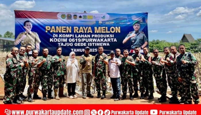 Purwakarta Gelar Panen Raya Melon 2025, Sinergi Pemda–TNI Perkuat Ketahanan Pangan dan Ekonomi Desa