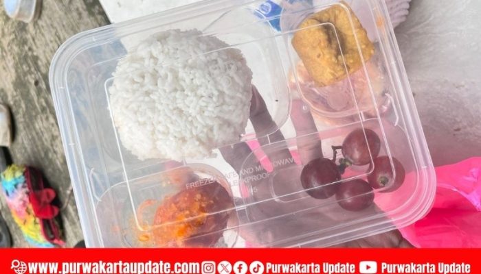 Kader Posyandu Melati VI Klarifikasi soal Wadah MBG, Akui Inisiatif dan Sampaikan Permohonan Maaf