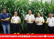 Kepala Lapas Purwakarta: Panen Raya Jagung Bukti Nyata Pembinaan Kemandirian Warga Binaan