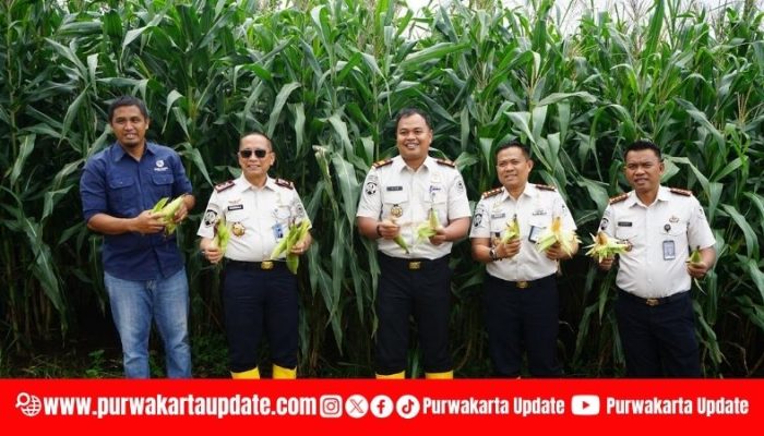 Kepala Lapas Purwakarta: Panen Raya Jagung Bukti Nyata Pembinaan Kemandirian Warga Binaan