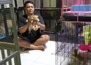 Berkah Lebaran, Jasa Penitipan Kucing Di Purwakarta Laris Manis