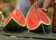 Tuturut Munding: ‘Ti Beurang Batur Puasa, Manehna Jajan Samangka’ Fenomena Ramadan?