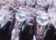 DPRD Jabar Kritik Molis Untuk SPPG: Bukan Prioritas, Perbaiki Dulu Layanan