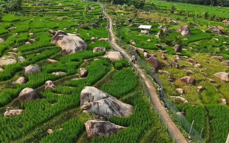 Pasir Kole Purwakarta