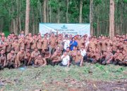 Perhutani KPH Purwakarta Gelar Job Training Penjarangan Tanaman