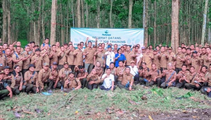 Perhutani KPH Purwakarta Gelar Job Training Penjarangan Tanaman