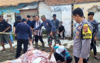 Bhabinkamtibmas Polsek Bungursari Monitoring Penyembelihan Hewan Kurban