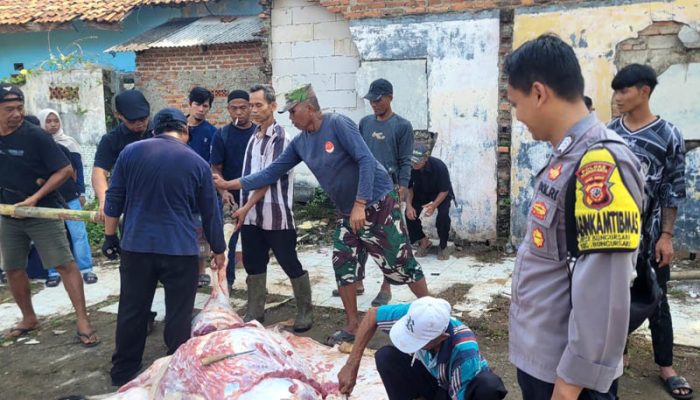 Bhabinkamtibmas Polsek Bungursari Monitoring Penyembelihan Hewan Kurban