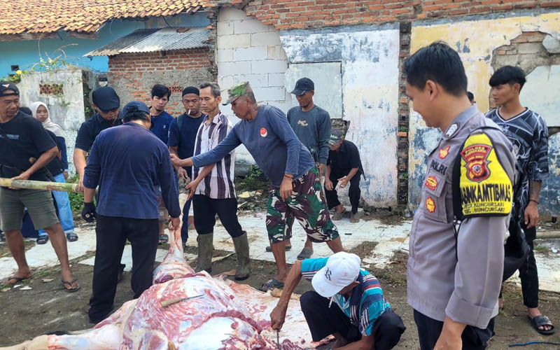 Kurban Bungursari Purwakarta