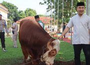 Idul Adha 1447 H, Polres Purwakarta Gelar Pemotongan Hewan Kurban