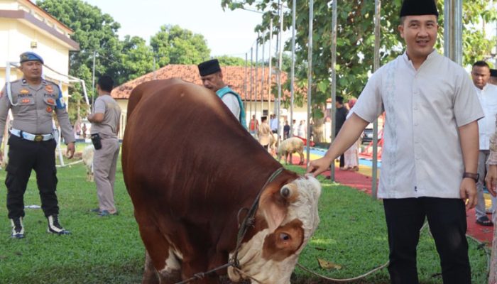 Idul Adha 1447 H, Polres Purwakarta Gelar Pemotongan Hewan Kurban