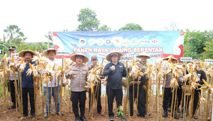 Polres Purwakarta Gelar Panen Jagung di Cijunti Campaka