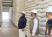 Putih Sari Tinjau Gudang Bulog Purwakarta, Pastikan Stok Beras Aman