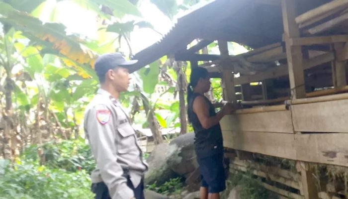Jelang Idul Adha, Polisi Antisipasi Pencurian Hewan Kurban di Purwakarta